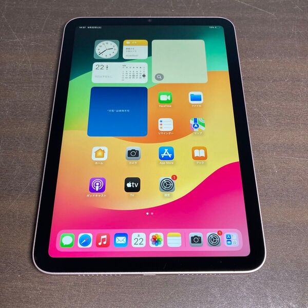 56435 iPad mini6世代 256GB ピンク Wi-Fiモデル 中古品 ※本体のみ