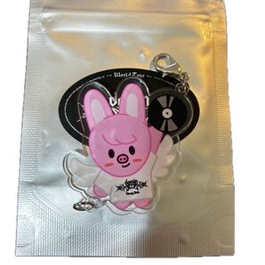 Stray Kids スキズ SKZOO トゥェッキ チャンビン ソウルコン アクリルチャーム アクキー