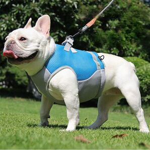 クールベスト ワンちゃん ペット ひんやり ハーネス 冷却 熱中症 犬 暑さ対策