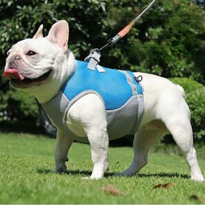 クールベスト L オレンジ ペット ひんやり ハーネス 冷却 熱中症 犬 暑さ対策