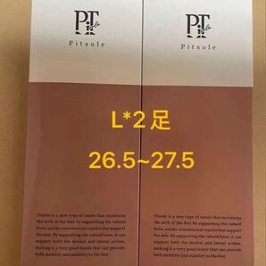 【正規品】pitsole ピットソール Lサイズインソール 2足