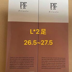 【正規品】pitsole ピットソール Lサイズインソール 2足