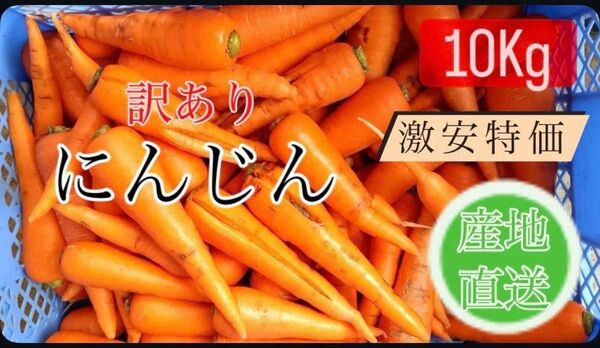 訳あり 洗いにんじん 10Kg 産地直送