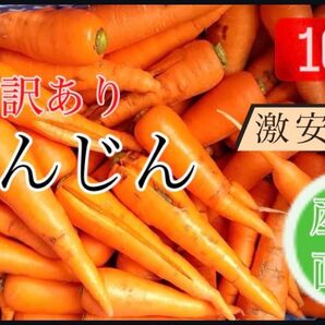 訳あり 洗いにんじん 10Kg 産地直送!! ジュースにも最適!!