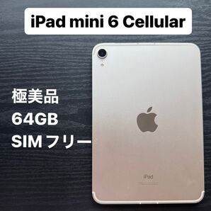iPad mini6 64GB セルラー ケース・フィルム付美品