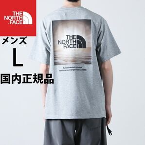メンズL 新品ノースフェイス ショートスリーブナチュラルフェノメノンティーS/S グレーTシャツNT32459