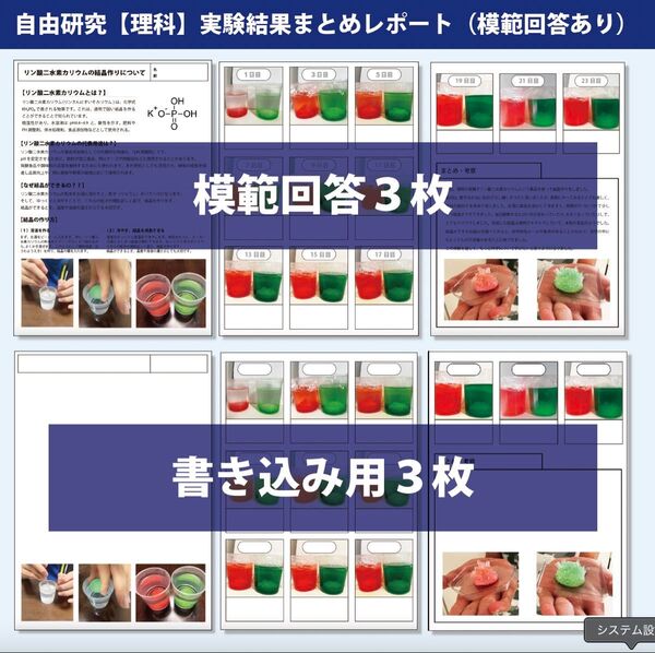 自由研究 理科 実験結果まとめレポート 模範解答あり 書き込み式