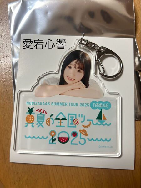 乃木坂46購入特典 A賞 個別アクリルキーホルダー 愛宕心響 真夏の全国ツアー2025