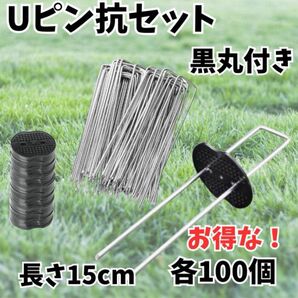 Uピン 杭 園芸 黒丸付き 15cm 100本 防草シート 除草 農業 テント