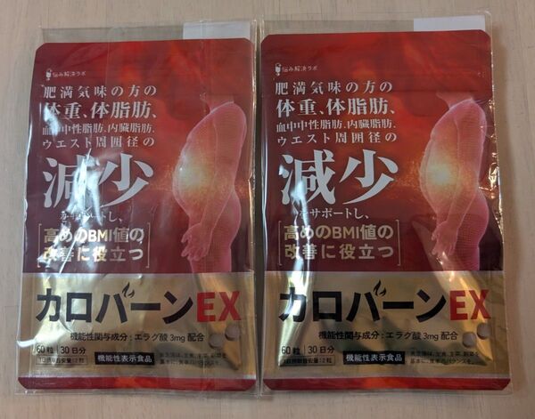 カロバーンEX 30日分×2