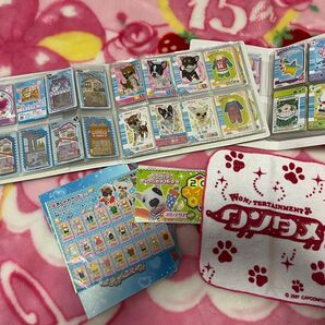 ワンタメ アイドルパピー USED カードコレクション 約160枚&カードホルダーetcセット タカラトミー
