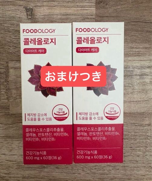 【新品未開封】FOODOLOGY フードオロジー コレオロジー 錠剤 60錠×2箱