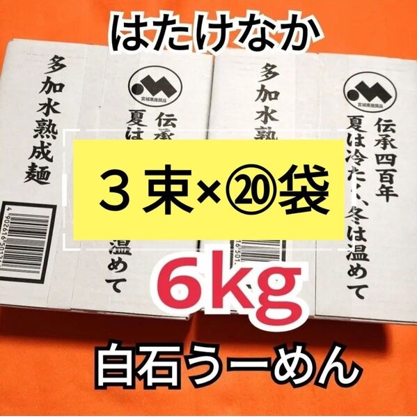 ☆ ご贈答用 みやぎの特産品はたけなか白石温300g ×10袋入り、2ケース計6kg分