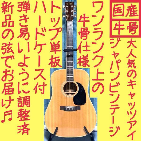【国産】TOKAI トーカイ キャッツアイ!アコギ【弾き易く調整☆新品の弦】