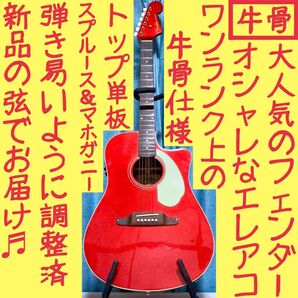 【牛骨★エレアコ】Fender☆フェンダー!ソノラン【弾き易く調整☆新品の弦】