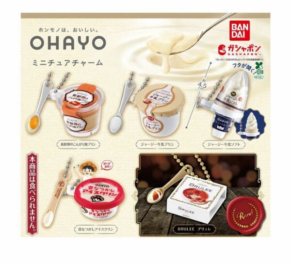 B-89 コンプ オハヨー乳業 ミニチュアチャーム 全5種 アイスクリーム