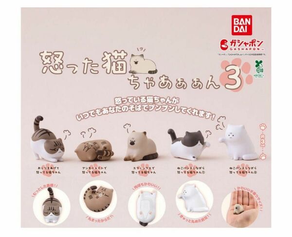 A-14 コンプ 怒った猫ちゃあぁぁん3 全5種 ガチャ フィギュア ねこ ネコ
