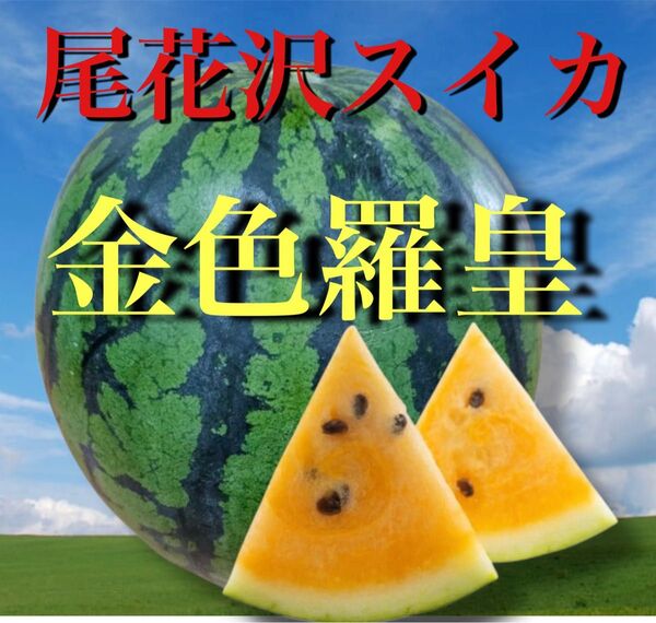 希少★数量限定 尾花沢スイカ 金色羅皇 1玉 6〜8キロ前後 訳あり ご家庭用