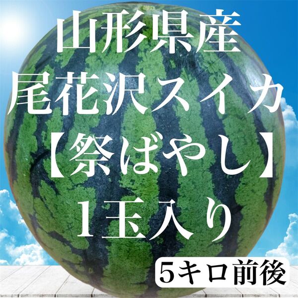 数量限定 山形 尾花沢スイカ 祭ばやし 1玉入り 5キロ前後 ご家庭用 すいか 訳あり