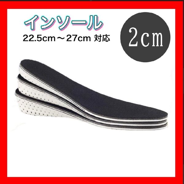 シークレットインソール 中敷き 身長アップ 2cm