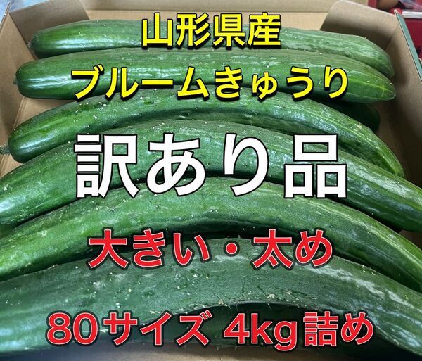 山形県産 大きいきゅうり規格外品《ブルームきゅうり》