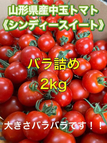 山形県産中玉トマト バラ詰め《シンディースイート》