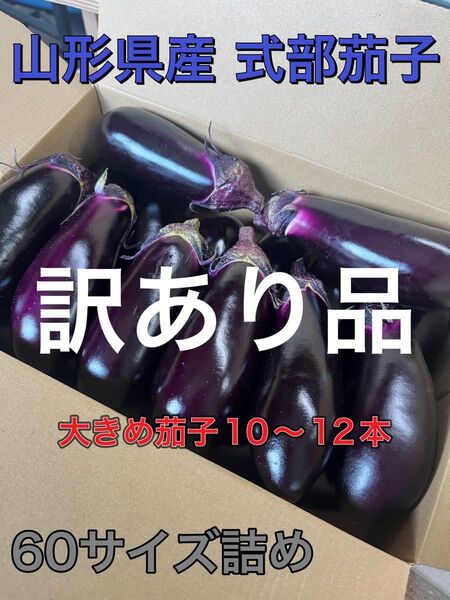 山形県産 式部茄子 訳あり品60サイズ詰め