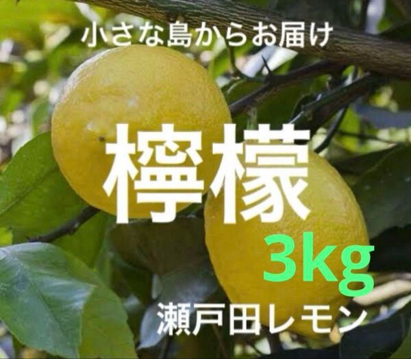 国産瀬戸田レモン