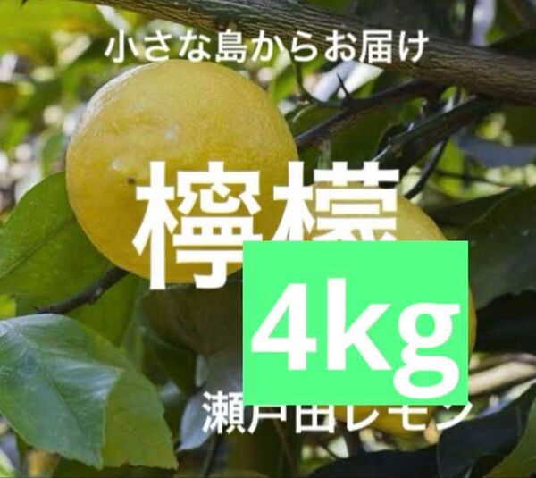 国産瀬戸田レモン4来