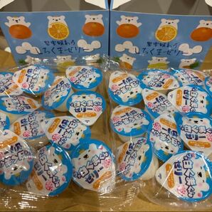 果実味わう しろくまゼリー 13個入 ×2箱分