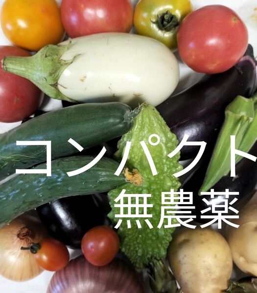 野菜詰め合わせ 野菜セット 完全無農薬畑育ち 鮮度保持袋入り 宅急便コンパクト発送 夏野菜