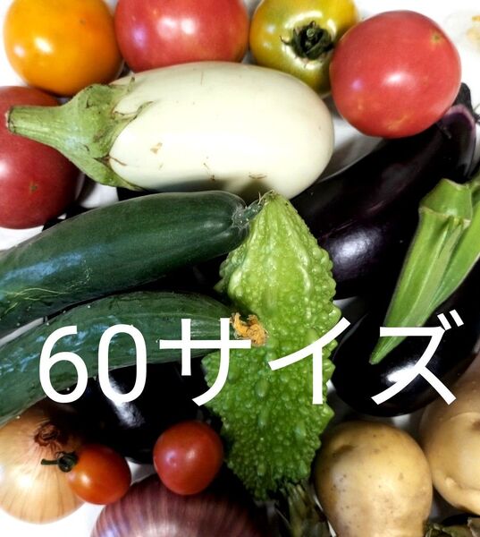 野菜詰め合わせ 野菜セット 宅急便60サイズ 箱込み2キロ 完全無農薬畑育ち 美味しい空気で育てています