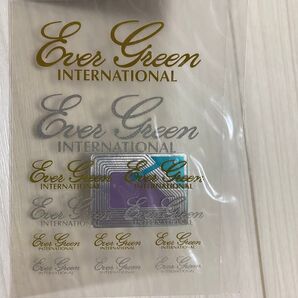 エバーグリーン コンバットスティック ステッカー セット 希少 レア