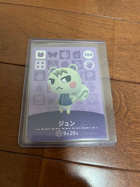 どうぶつの森 アミーボカード ジュン amiibo 任天堂スイッチswitch あつ森 amiiboカード あつまれどうぶつの森