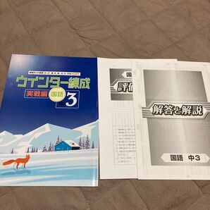 ウインター練成 実戦編 国語 中3
