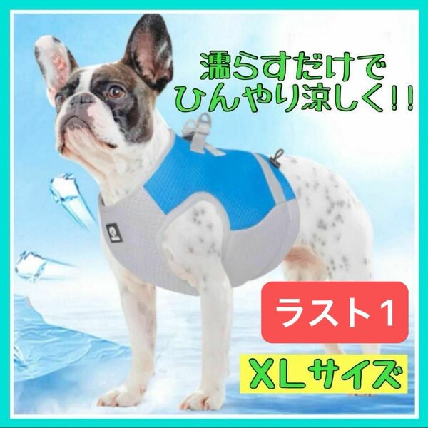 ラスト1 XLサイズ 犬用 クールベスト ひんやり 冷却 熱中症対策 ペット ハーネス 新品未使用品 冷感 クールベスト お散歩