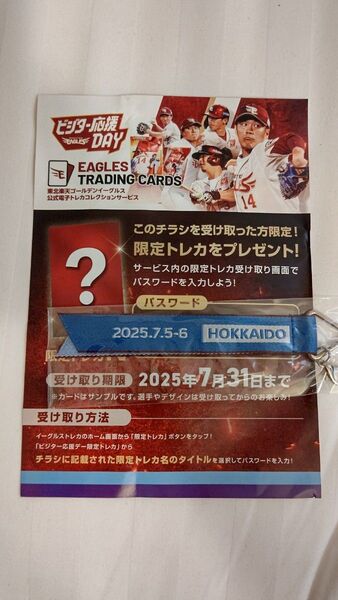 楽天イーグルス ビジター応援DAY エスコンフィールド 日本ハムボンフィンチラシ