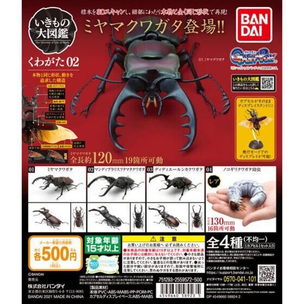 いきもの大図鑑 くわがた02・ノコギリクワガタ幼虫 ジャンク
