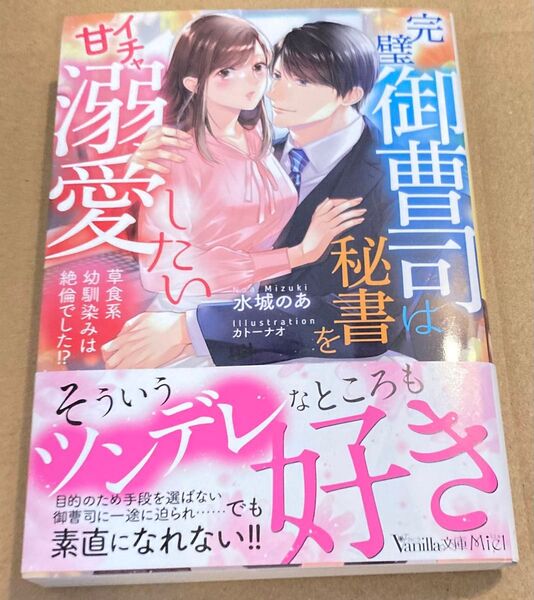 完璧御曹司は秘書をイチャ甘溺愛したい 草食系幼馴染みは絶倫でした!? (Vanilla文庫Miel 2024/12) 水城のあ