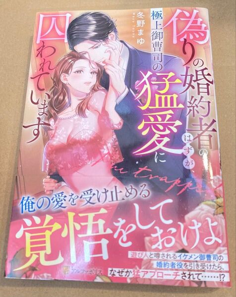 偽りの婚約者のはずが、極上御曹司の猛愛に囚われています (Eternity BOOKS2025/6) 冬野まゆ