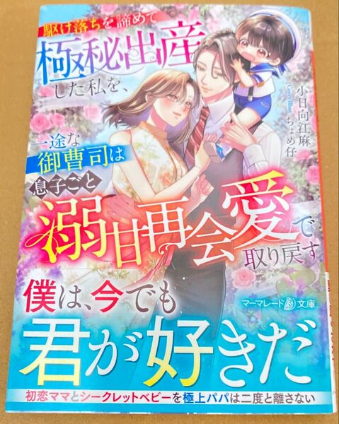駆け落ちを諦めて極秘出産した私を、一途な御曹司は息子ごと溺甘再会愛で取り戻す (マーマレード文庫2025/6) 小日向江麻