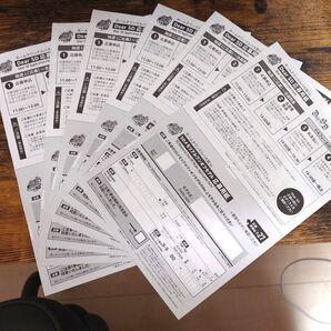 【6枚セット】ホームタウンドルパ大阪10 ボークス 応募券 ドールズパーティ
