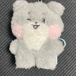ZEROBASEONE ZERONI MESSAGE DOLL KEYRING LINE FRIENDS マスコット キーリング