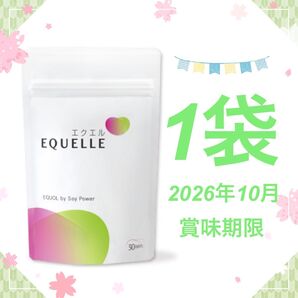 1袋 EQUELLE エクエル パウチ 大塚製薬 120粒 120 30日 30DAYS 30 エクオール 大豆イソフラボン