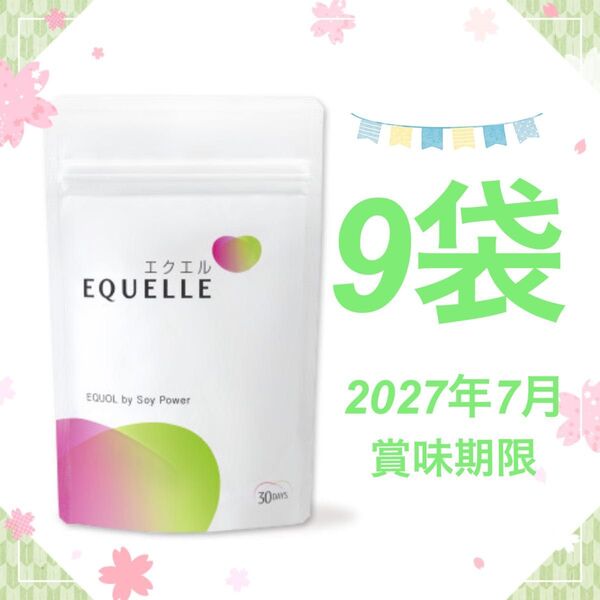 9袋 EQUELLE エクエル パウチ 大塚製薬 120粒 120 30日 エクオール 大豆イソフラボン ボディケア 食品 サプリ