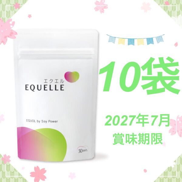 10袋 EQUELLE エクエル パウチ 大塚製薬 120粒 120 30日 エクオール 大豆イソフラボン 食品 サプリ