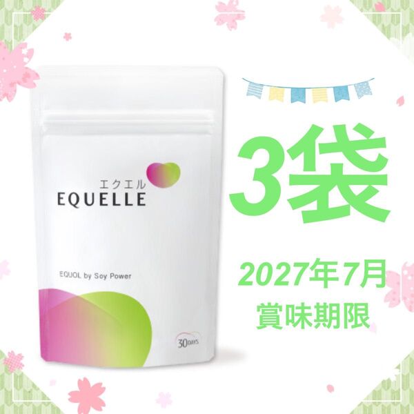 3袋 EQUELLE エクエル パウチ 大塚製薬 120粒 120 30日 エクオール 大豆イソフラボン ボディケア 食品 サプリ