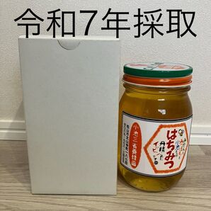 はちみつ みかん蜜600g