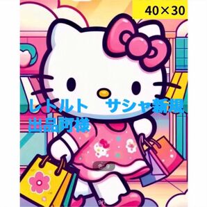 ダイヤモンドアート 40×30 楽しいショッピング