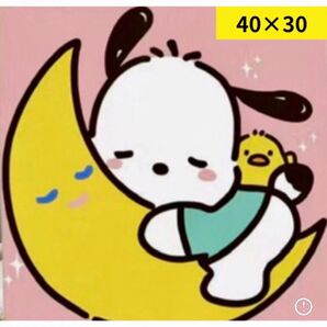 ダイヤモンドアート 月に犬 40×30